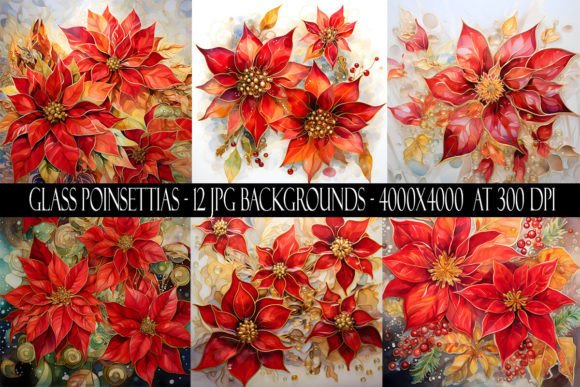 Glass Poinsettia Backgrounds for Festive Design Projects